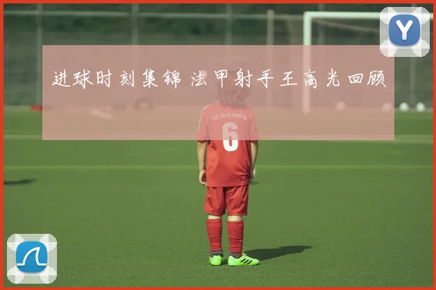 进球时刻集锦 法甲射手王高光回顾