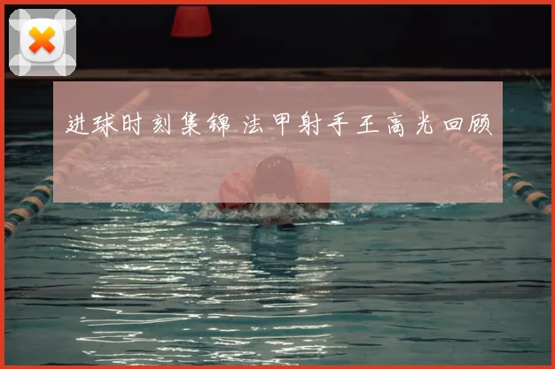 进球时刻集锦 法甲射手王高光回顾