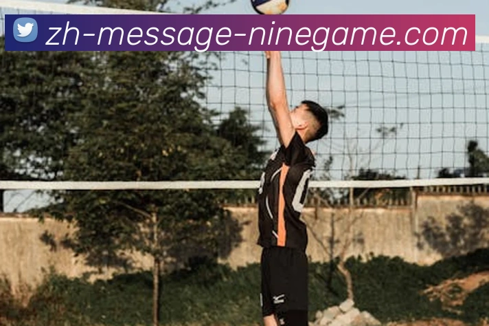 J9九游平台生态图